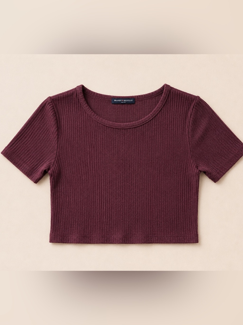 Brandy Melville Wine Color Ribbed Short Sleeve Crop Top - Burgundy - Fall - Boxy